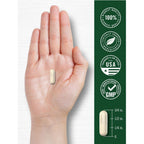 Carlyle White Kidney Bean | 200 Count | Non-GMO & Gluten Free Extract