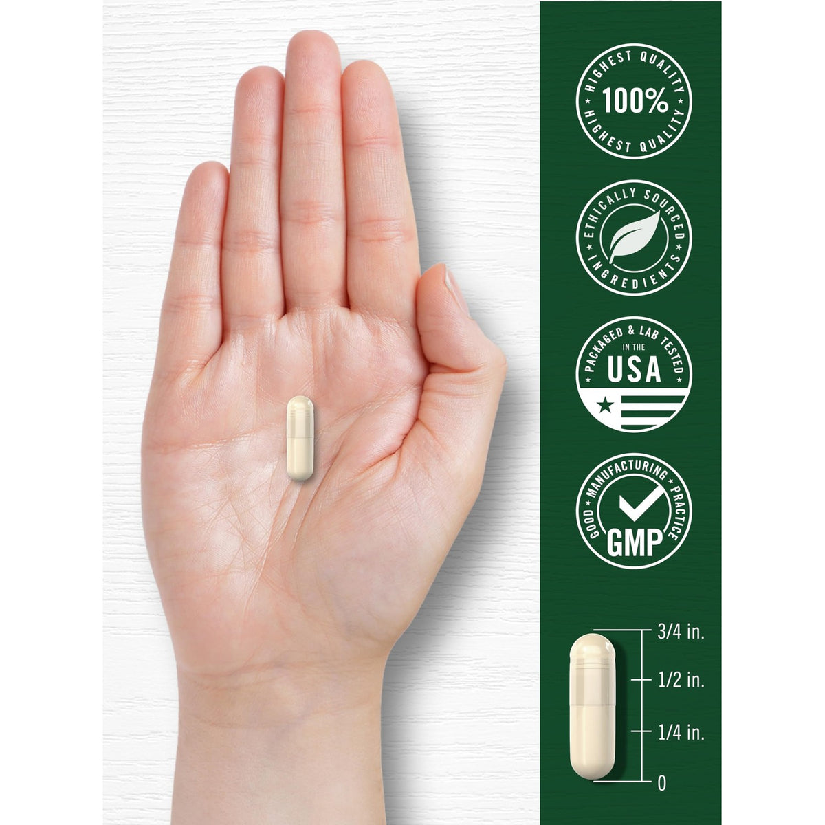 Carlyle White Kidney Bean | 200 Count | Non-GMO & Gluten Free Extract