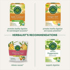 Traditional Medicinals Organic, Belly Comfort Lozenges, Lemon Ginger - Supports Nausea Relief and Occasional Indigestion - Non-GMO, Stimulant-Free - 30 Individually Wrapped Lozenges