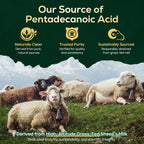 Pentadecanoic Acid, C15:0 Supplement, High Altitude Sheep Milk Sourced, 120 Tablets
