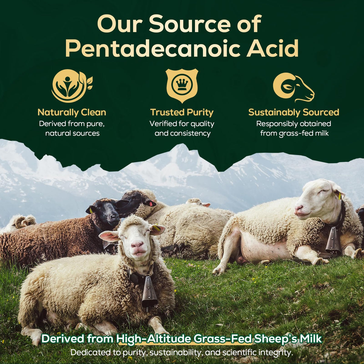 Pentadecanoic Acid, C15:0 Supplement, High Altitude Sheep Milk Sourced, 120 Tablets