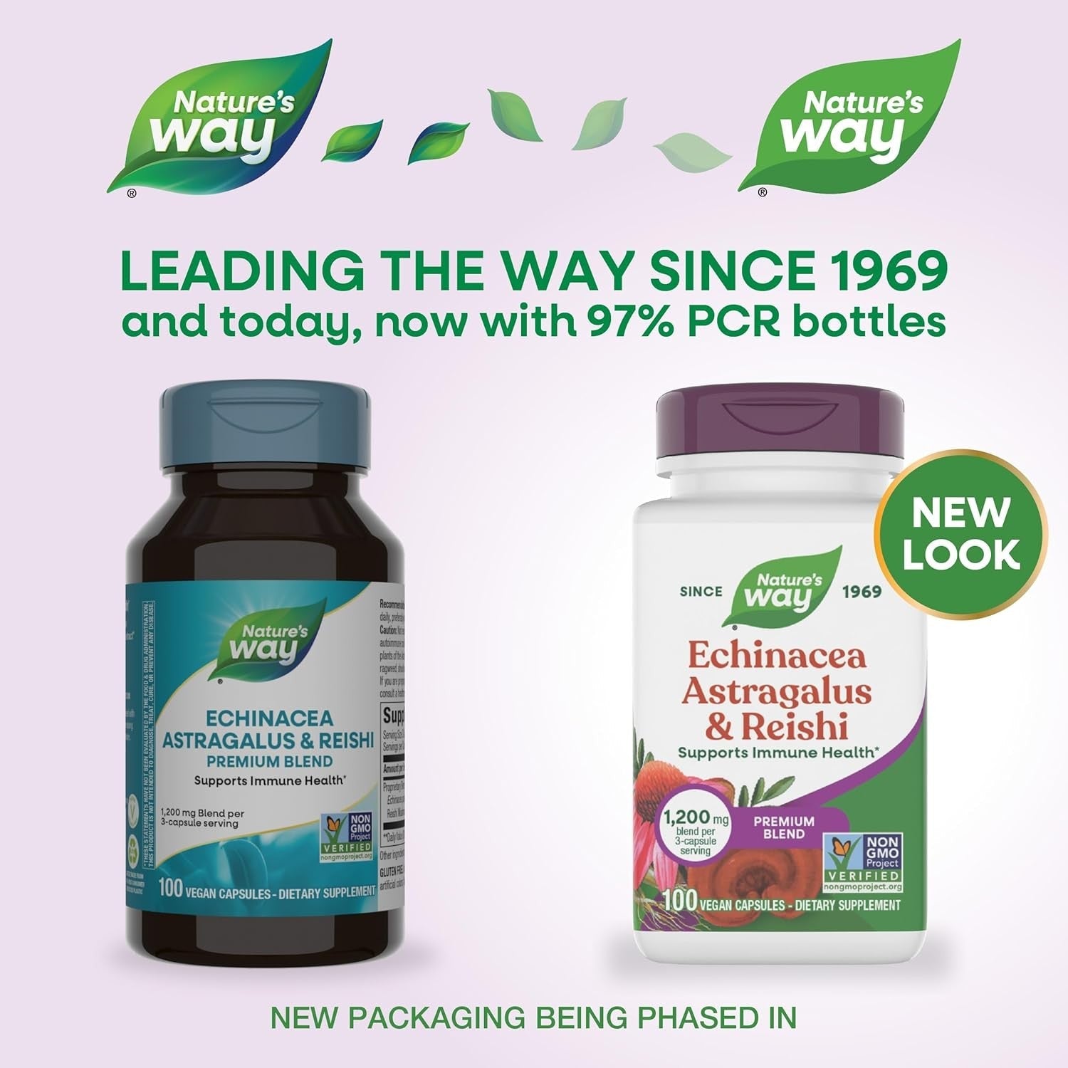 Buy now Nature's Way Echinacea Astragalus & Reishi, Immune Support*, 100 Capsules at indiglob india