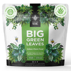 Big Green Leaves Indoor Plant Food – 4X Concentrated Fertilizer, 1 lb