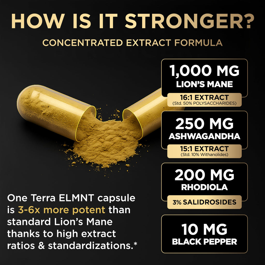 16x Strength Lions Mane Supplement Capsules Super Nootropic w. Ashwagandha & Rhodiola - Highest Potency 16:1 Lion's Mane Mushroom Extract 50% Polysaccharides Brain Supplements for Memory and Focus
