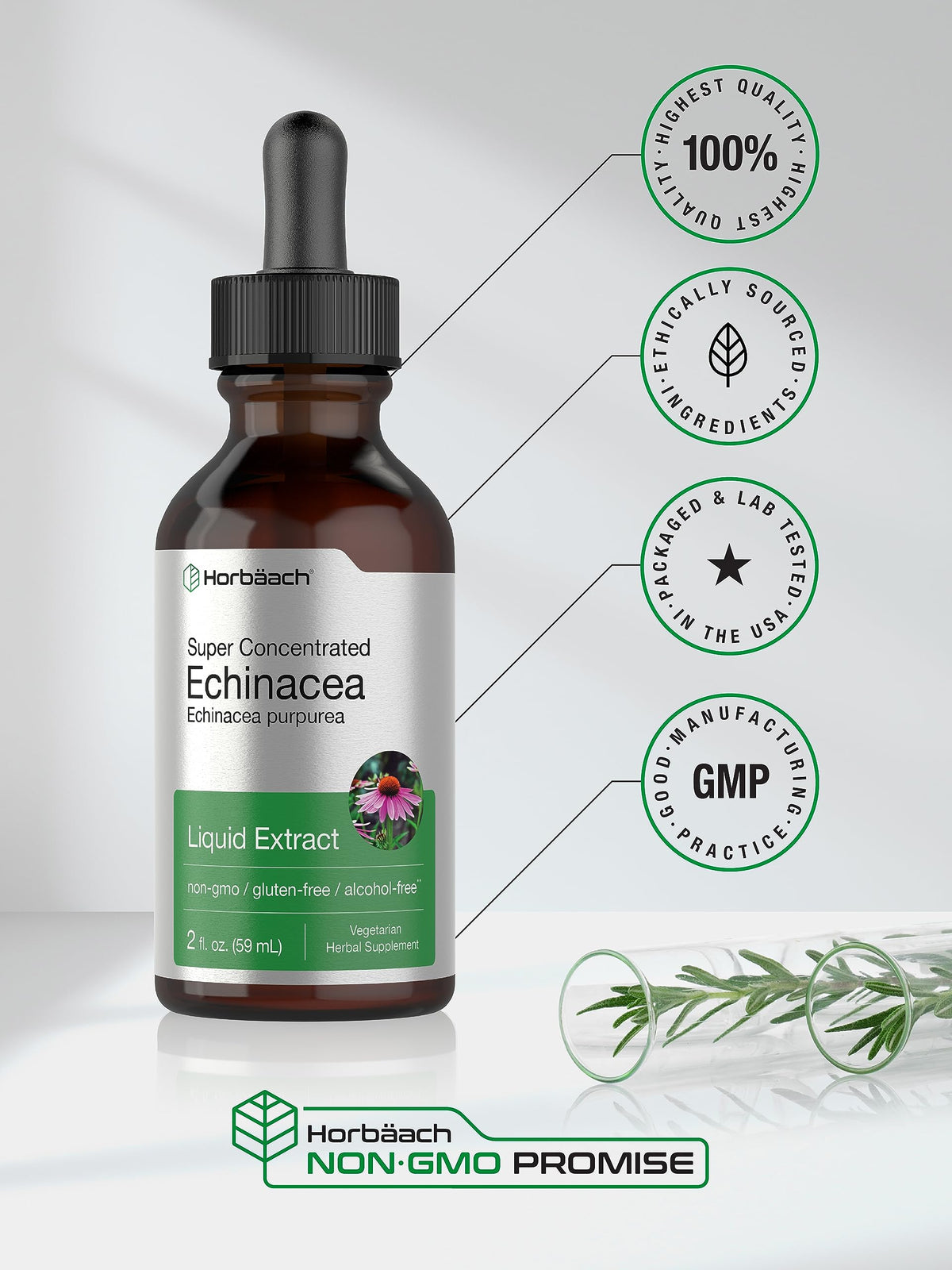 Horbaach Echinacea Drops Herb Tincture | 2 fl oz