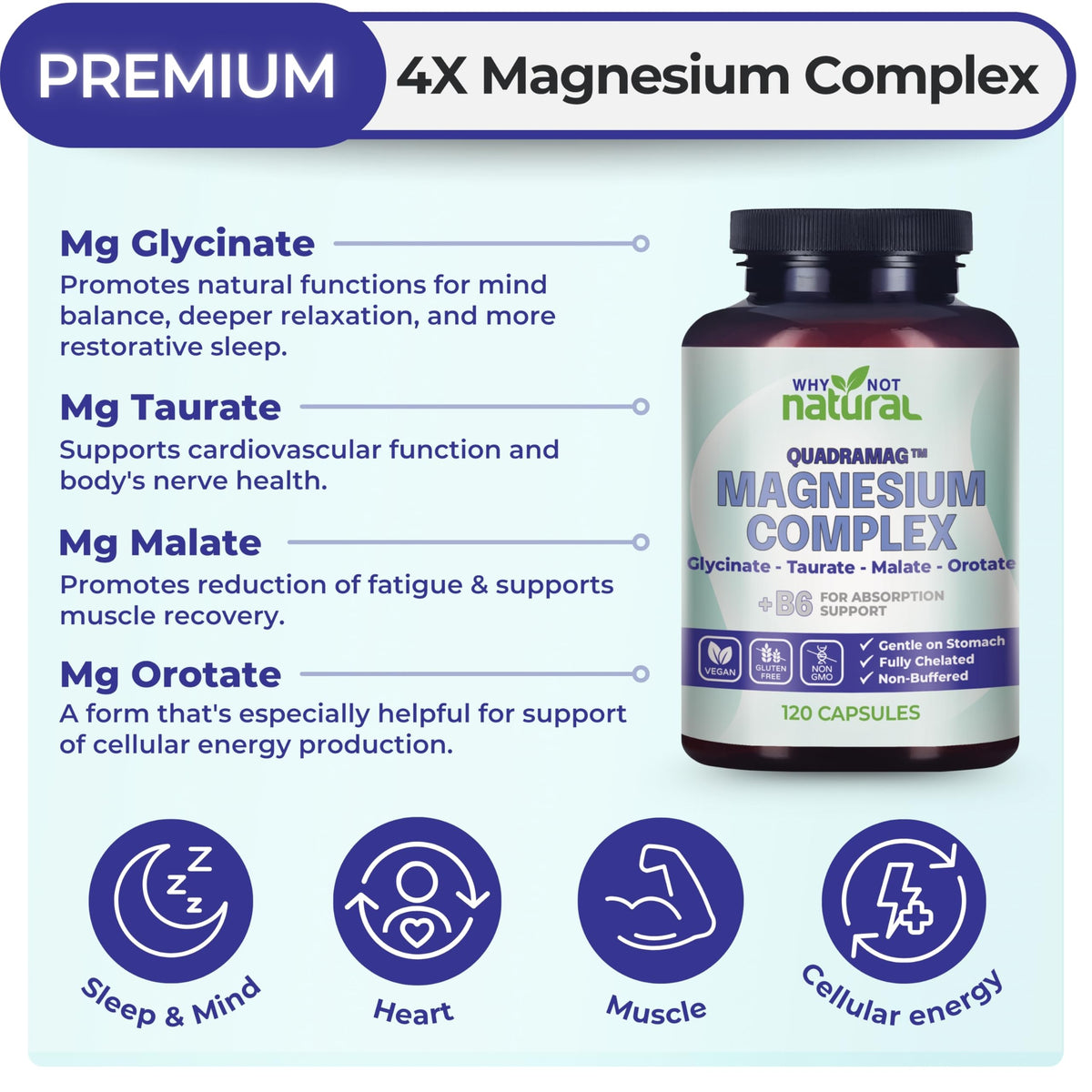 4-in-1 Magnesium Complex Supplement - Glycinate, Taurate, Malate, Orotate Blend - 300 mg per Serving, 120 Capsules
