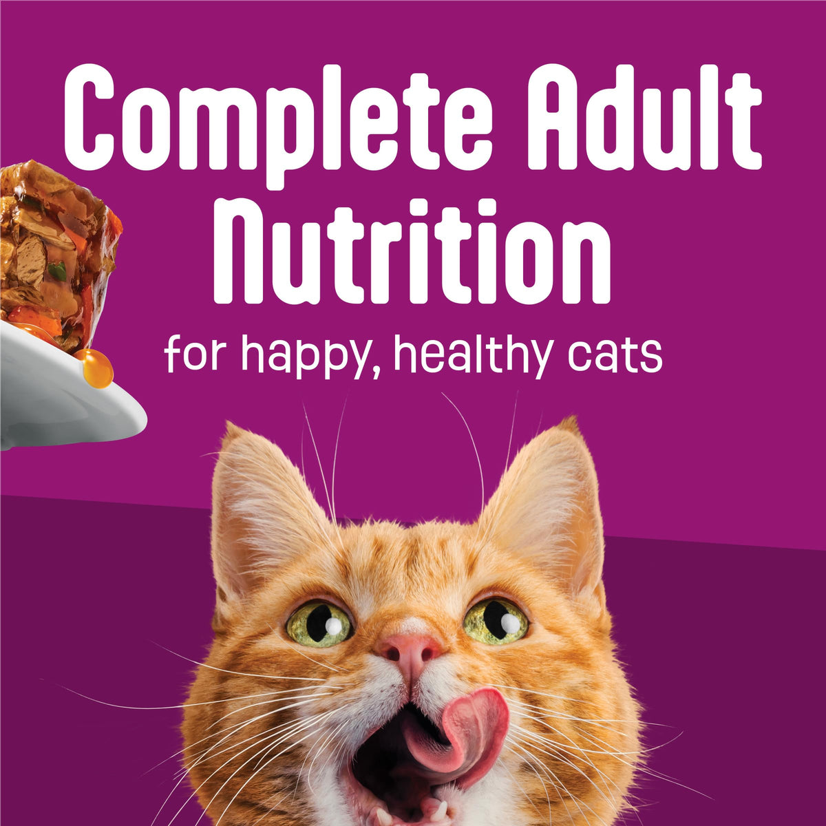 Purina Friskies Fully Load'd Wet Cat Food, Salmon, 24 Count, 5.5 oz
