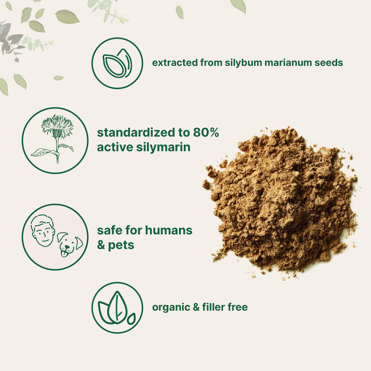 Organic Milk Thistle Tea Powder, 3.5 ounces | Up to 400 Servings | Premium Milk Thistle Liver Detox Supplement | Contains 80% Active Silymarin | Non-GMO, Vegan Friendly, Eco-Friendly Recyclable Bags