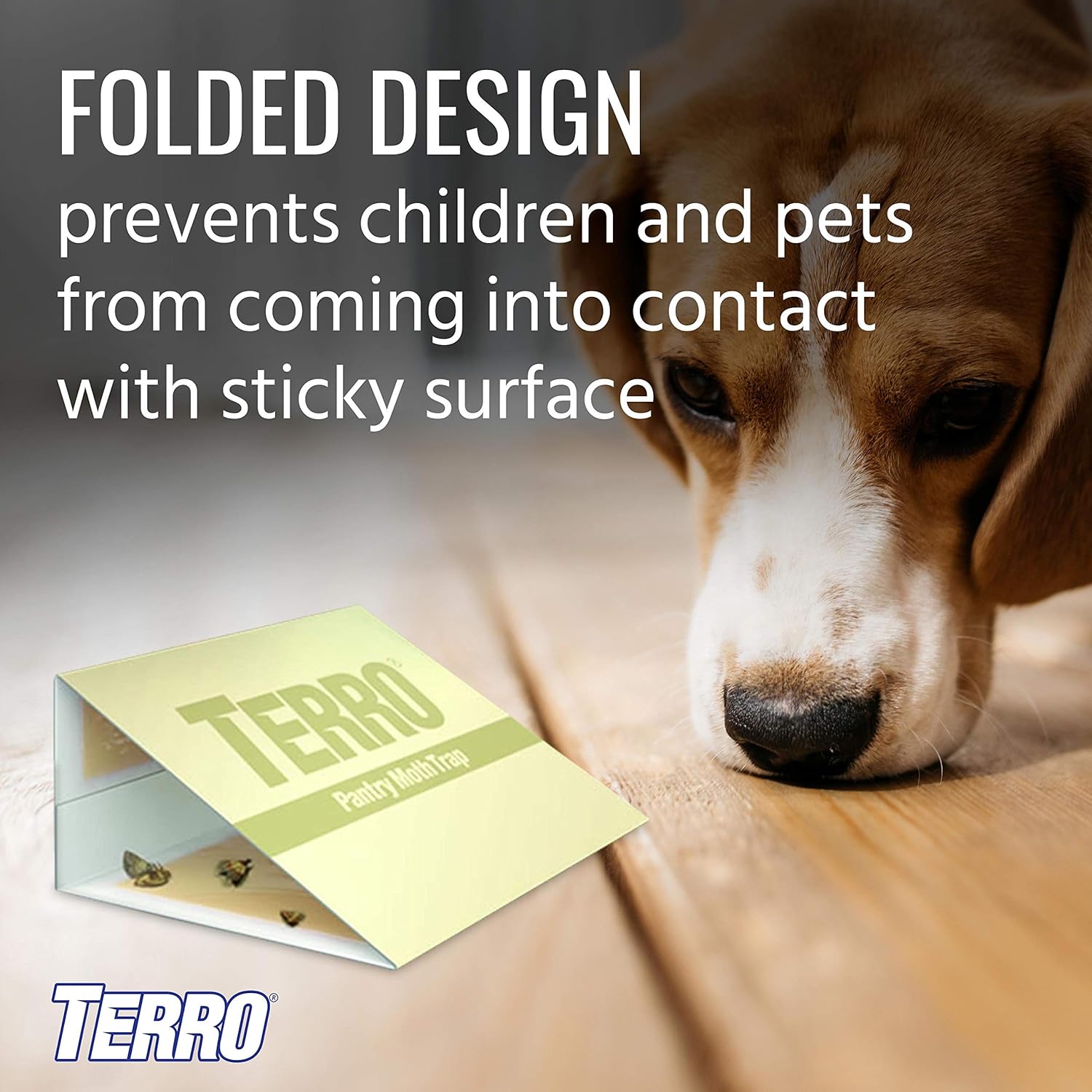Buy now TERRO T2900 (Pack of 2) Pantry Moth Traps - Traps grain moths, flour moths, meal moths, and seed moths, (Packaging May Vary) at indiglob india