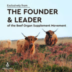 Ancestral Supplements Grass Fed Beef Heart Supplement, CoQ10, 180 Ct
