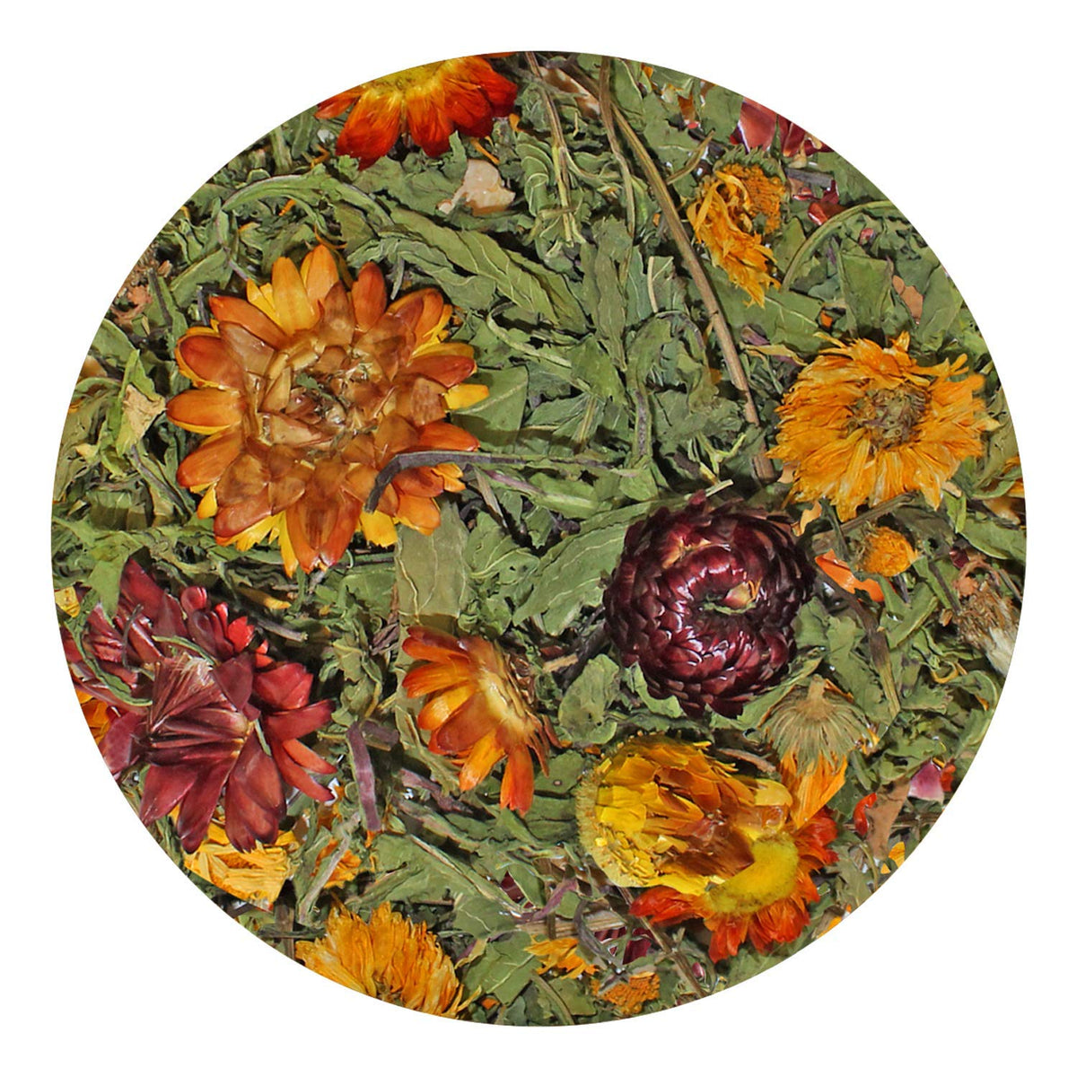 Exotic Nutrition Pasture Plus+ Dandelion Delicacy - Healthy Natural High-Fiber Dried Flower Treat - Guinea Pigs, Rabbits, Chinchillas, Prairie Dogs, Degus, Hamsters, Gerbils & Other Small Pets