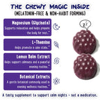 Kids Sleep Gummies - Calm Sugar-Free Magnesium Glycinate and Melatonin-Free
