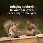 C&S Sweet Corn Squirrelog Refill, Food for Wild Squirrels, 2 Pounds, 6 Pack