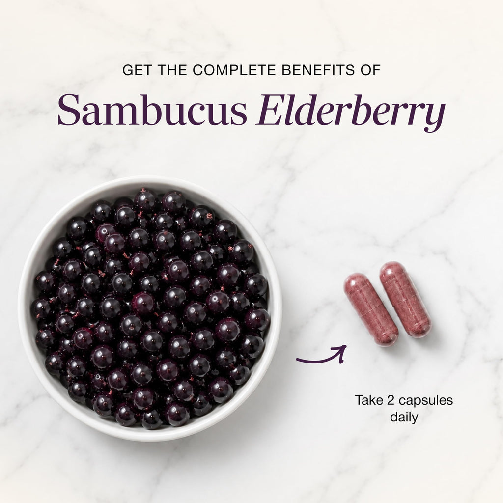 Elderberry Vitamin C and Zinc Capsules with D3 and Quercetin, 120 Count | 6-in-1 Immune Support Supplements For Adults, Sambucus Extract Zink Ginger USA Made in NSF GMP Certified Facility By Sandhu's