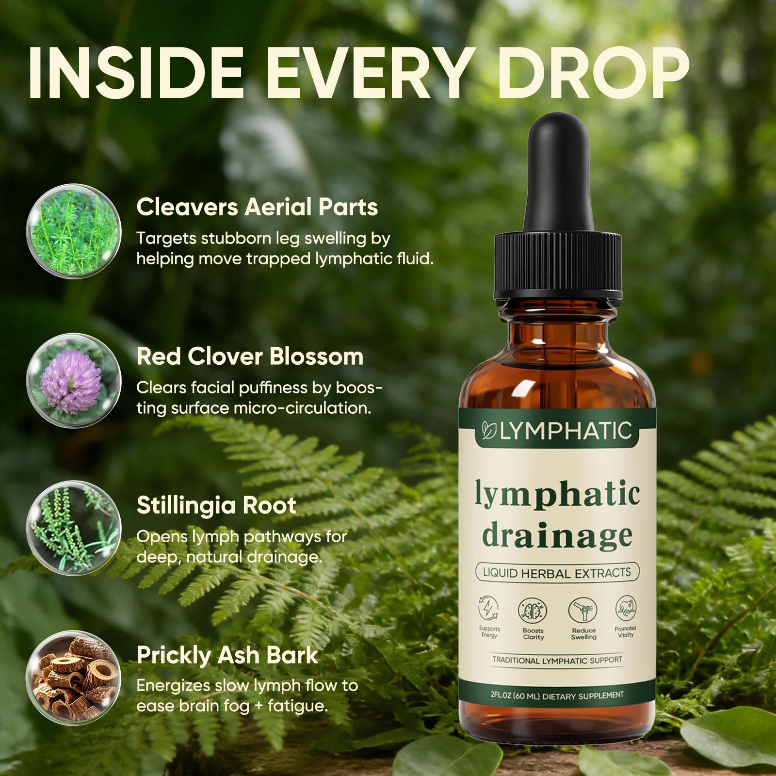 Lymphatic Drainage Drops, Bloat Relief & De-Puff, Immune & Lymph System Support Supplement, – Cleavers, Red Clover, Stillingia Root & Prickly Ash Bark, Fluid Retention, Vegan & Alcohol-Free, 2 Fl Oz