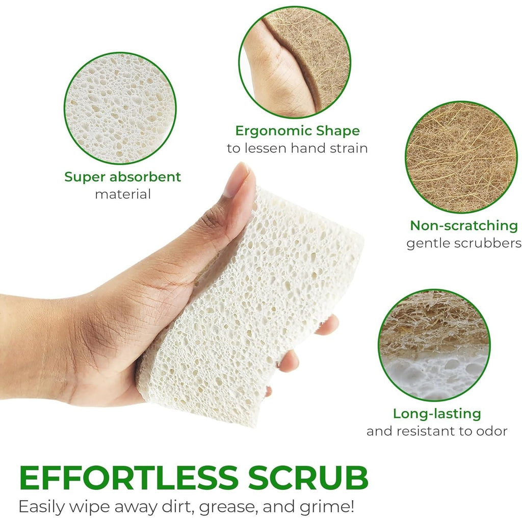 Buy now Biodegradable Natural Kitchen Sponge - Compostable Cellulose and Coconut Walnut Scrubber Sponge (12 Pack) at indiglob india