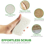 Buy now Biodegradable Natural Kitchen Sponge - Compostable Cellulose and Coconut Walnut Scrubber Sponge (12 Pack) at indiglob india