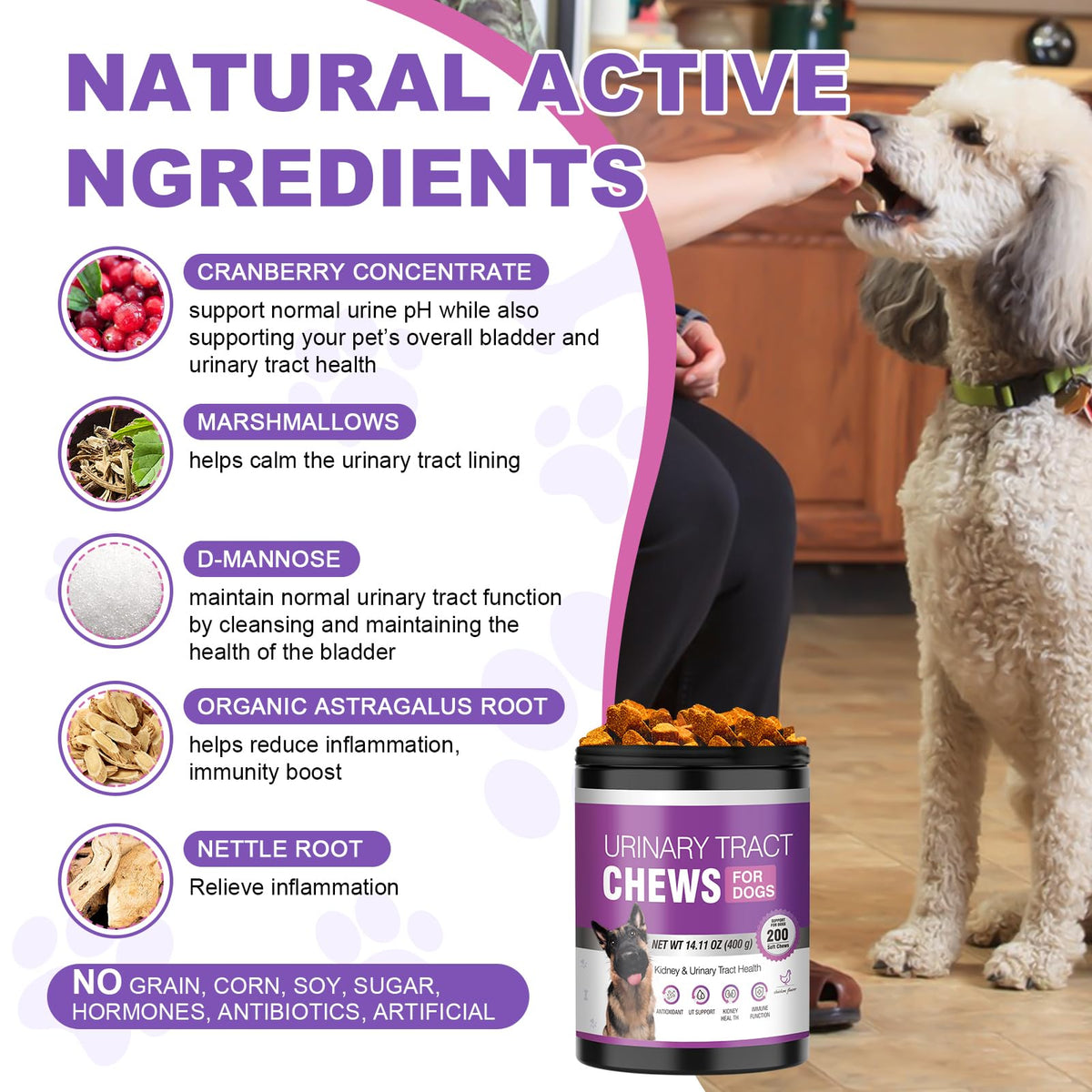 Dog UTI Treatment, 200 Soft Chews Cranberry Supplement for Dogs with D-Mannose Support Normal Urinary Tract Bladder Health & Kidney & Incontinence Remedy Stops UTI Treats Chicken Flavor