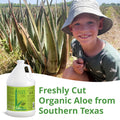 Seven Minerals Aloe Vera Gel with Freshly Cut Pure Organic Aloe - Big 12oz - Texas Grown, HighestQuality, Vegan, Unscented, Non-Sticky - After Sun, Skin & Face Moisturizer, Hair Mask