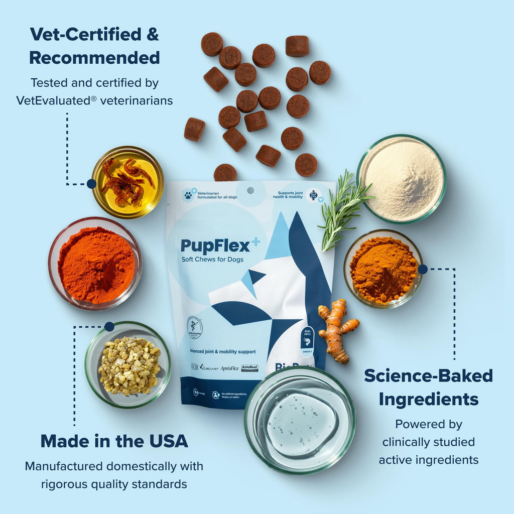 PupFlex+ Hip and Joint Supplement Dogs, Vet Created Soft Chews w/UC-II® Collagen, CurcuVET® & Omega 3 - UC-II Collagen More Effective Than Glucosamine Chondroitin, Dog Joint Supplement (60 ct)