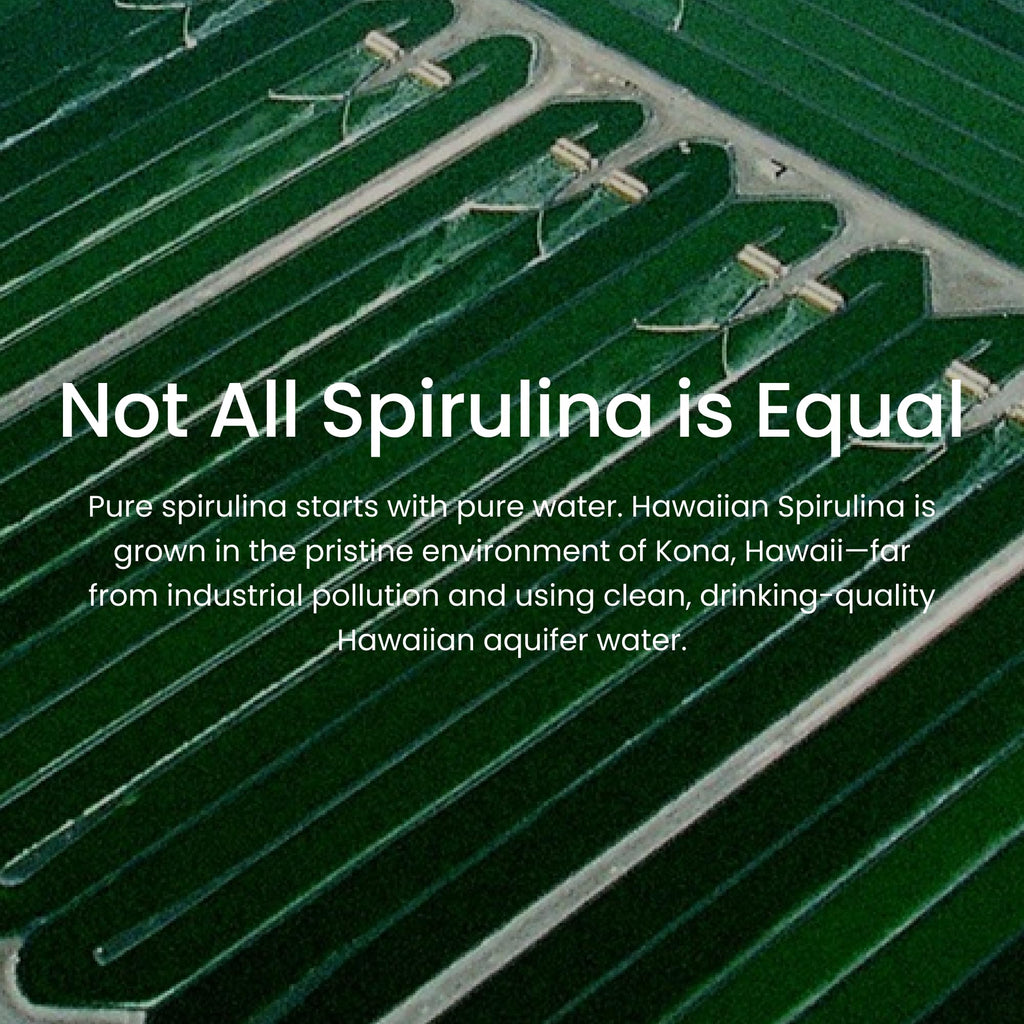 Nutrex Hawaii Pure Hawaiian Spirulina Powder, Vegan, Non-GMO, 9.53 oz | Spirulina Farm Grown in Kona, Hawaii, Non-GMO, Glyphosate Residue Free, 3rd Party Tested, 60% Protein, Superfood Supplement