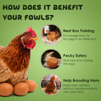 SunGrow Fake Eggs for Laying Hens in Chicken Coop, Train to Lay Inside Nest Box, Beige, 4 Pcs per Pack