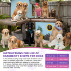 Dog UTI Treatment, 200 Soft Chews Cranberry Supplement for Dogs with D-Mannose Support Normal Urinary Tract Bladder Health & Kidney & Incontinence Remedy Stops UTI Treats Chicken Flavor