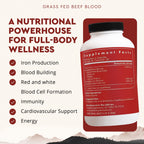 Ancestral Supplements Blood Health Supplement, Organ Formula, 500mg, 180 Ct