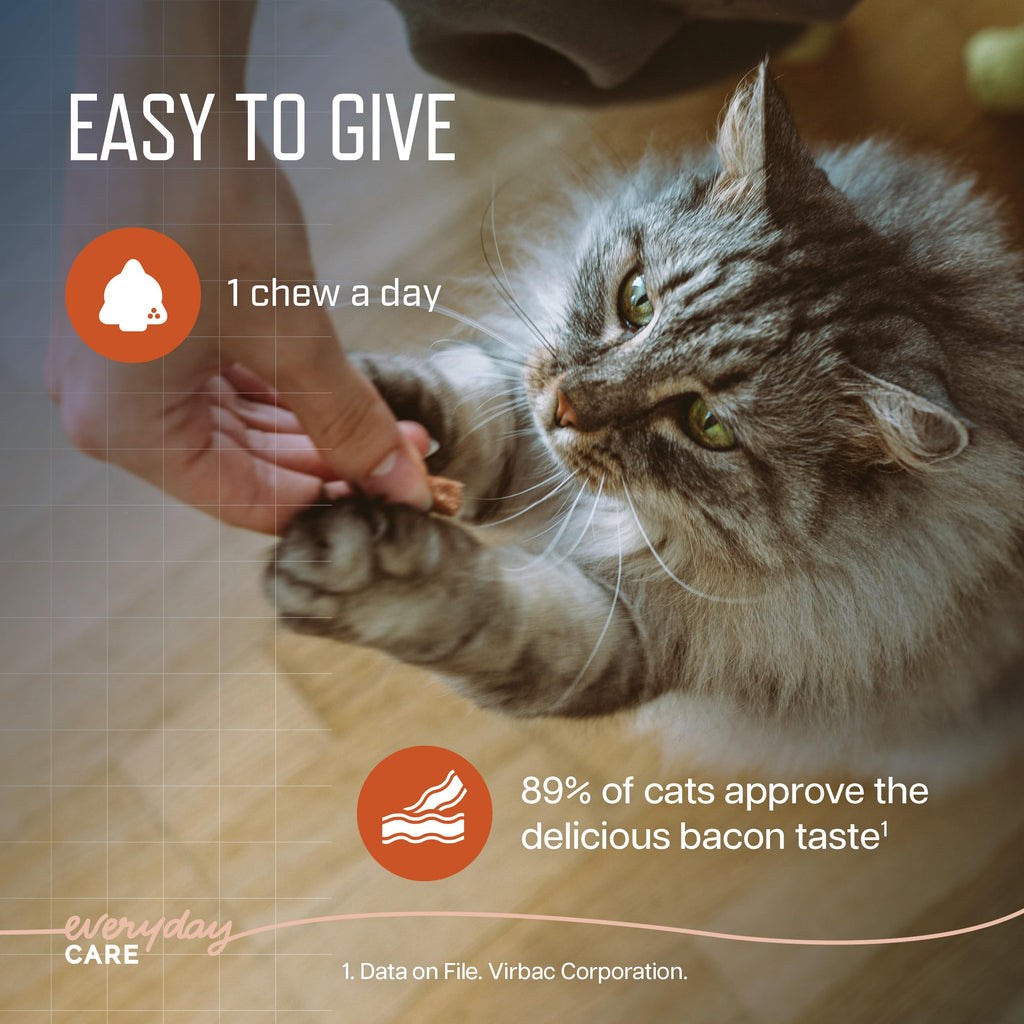 URSOLYX Soft Chews for Cats, Muscle Health Support, 60 Count