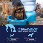 Petmate Big Blue Outdoor Pet Water Bowl, 5 Gallons, Jug not Included