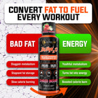 ALPHA LION Burn2O L-Carnitine Liquid 2000mg, Premium Liquid Fat Burner & Pre-Workout Supplement for Men & Women - Natural Energy & Metabolism Booster for Weight Loss - ShredBerry