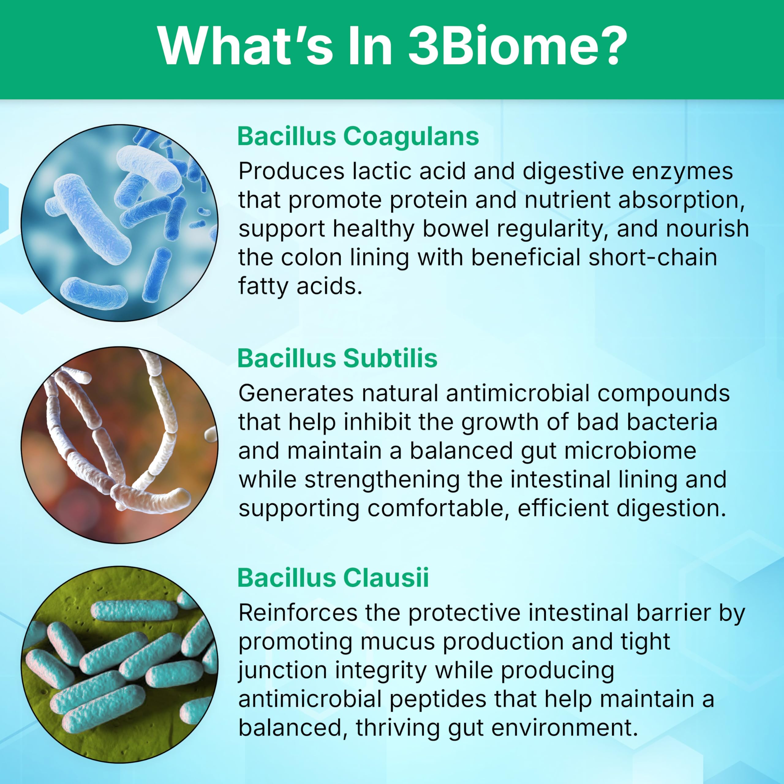 3Biome Natural Probiotic Supplement for Gut Health, Vegan, Gluten-Free | With Smart Probiotics to Improve Digestion and Regularity While Easing Gas, Bloating, and Stomach Discomfort, 30-Day Supply