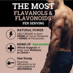 Black Forest High Flavanol Cocoa Powder - 1200mg Flavanols & Flavonoids with 600mg Epicatechin - 10X Concentrated Dark Cocoa Extract for Nitric Oxide and Wellness Support - Non-GMO Vegan