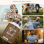 Ancestral Supplements Grass Fed Beef Kidney Supplement, 3000mg, 180 Ct | DAO enzyme-rich formula for kidney support and kidney health, promoting urinary & histamine balance with B12.