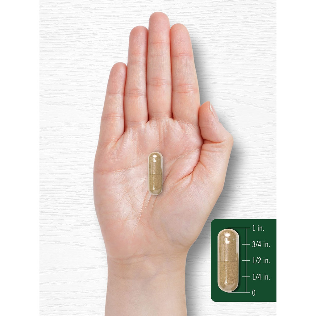 Carlyle Artichoke Extract Capsules | 200 Count