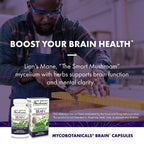 Host Defense MycoBotanicals Brain Support, 60 Capsules | Brain Support, Lion's Mane, Reishi and Cordyceps Mushroom, Herbal Supplement for Mental Clarity, Memory, and Focus Support