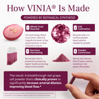 VINIA Blood Flow | Piceid Resveratrol Capsules | Vegan, Non-GMO, 30 Count | Heart Health | Healthy Blood Pressure Support* | Nitric Oxide Production | Red Grape Antioxidant Supplement