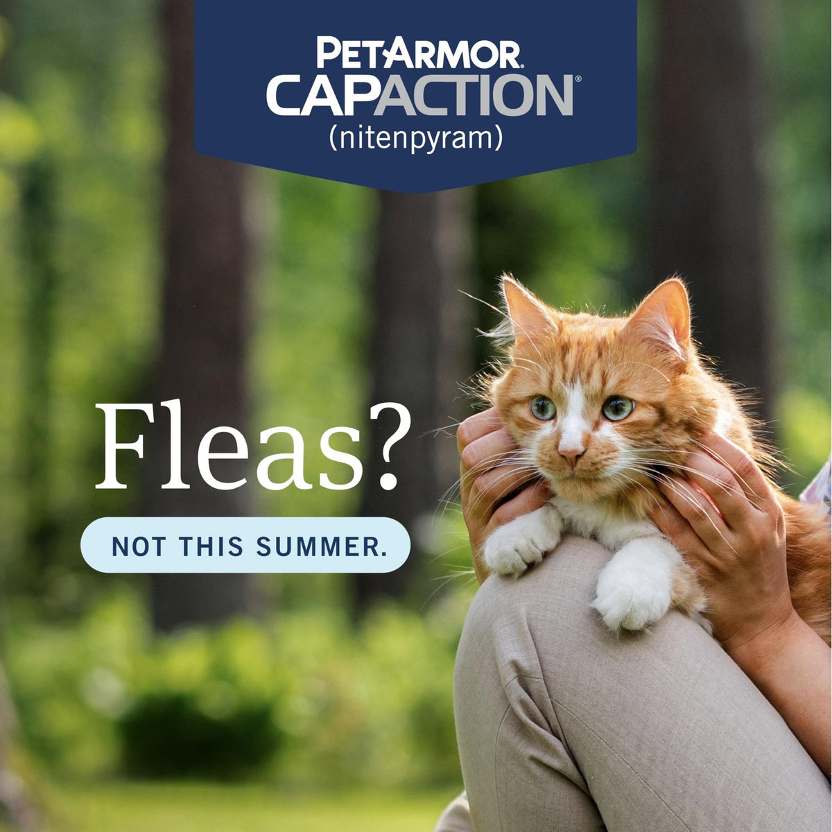 PetArmor CAPACTION Oral Flea Tablets Cats 2-25 lbs, Nitenpyram, 6-Dose