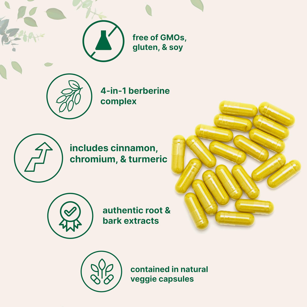 Micro Ingredients Berberine with Ceylon Cinnamon, 240 Veggie Capsules | High Absorption Berberine HCI Supplement + Turmeric Root & Cinnamon Bark Extract | Non-GMO, Gluten Free