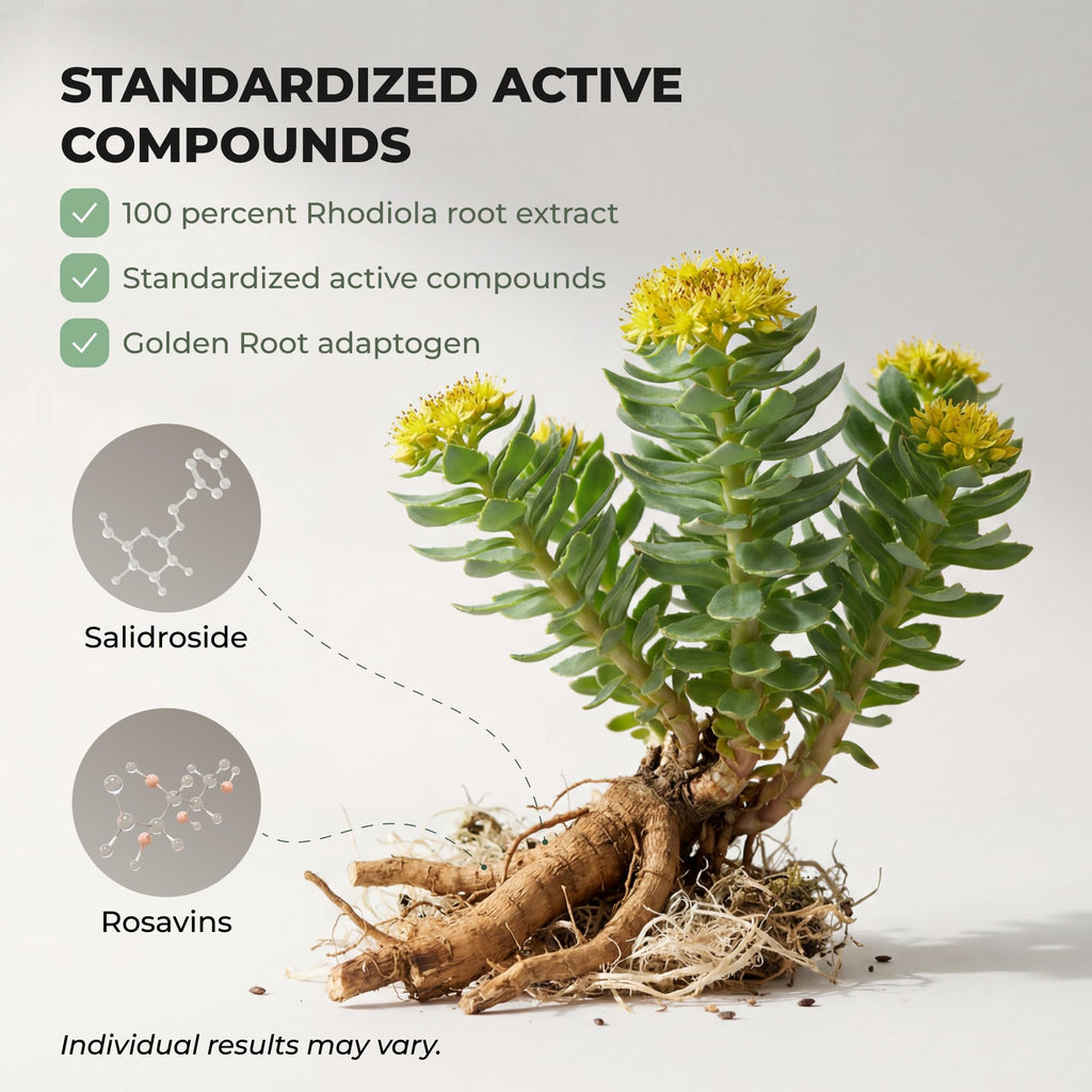 Rhodiola Rosea Supplement – Golden Root Adaptogen Capsules - Rhodiola Rosea Extract Powder Alternative with Salidroside for Stress Support - Energy, Focus & Performance
