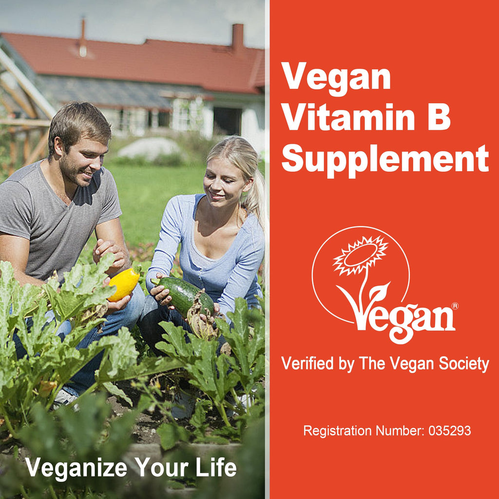 Super Vitamin B Complex Filled Gummies for Women Men, Methylated w/Omega 3 | Magnesium, CoQ10, Ashwagandha, Vitamin C, TMG -All B - B1, B2, B3, B5, B6,B7,B9,Methyl B12, Inositol, PABA, Sugar Free, 2Pack