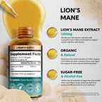 Lions Mane Liquid - USDA Organic Lions Mane Supplement 72,000 mg - 2 Oz | Lion's Mane Mushroom Extract - Brain Support, Energy, Memory & Focus - Sugar & Alcohol-Free - Tincture for Women & Men