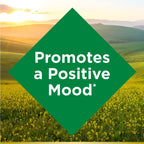 Nature's Bounty St. John’s Wort 300mg Capsules, Herbal Health Supplement, Promotes a Positive Mood, 1 Count (Pack of 200)