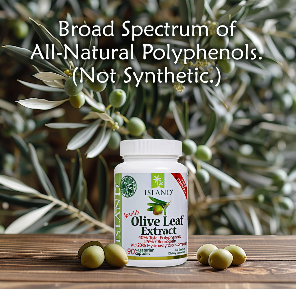 Buy now Olive Leaf Extract Capsules â€“ 25% Oleuropein (40% Total Polyphenols), Plus 20% Hydroxytyrosol Complex â€“ 100% Grown & Extracted in Spain (90 Capsules) at indiglob india