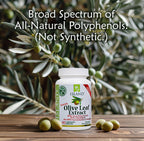Buy now Olive Leaf Extract Capsules â€“ 25% Oleuropein (40% Total Polyphenols), Plus 20% Hydroxytyrosol Complex â€“ 100% Grown & Extracted in Spain (90 Capsules) at indiglob india