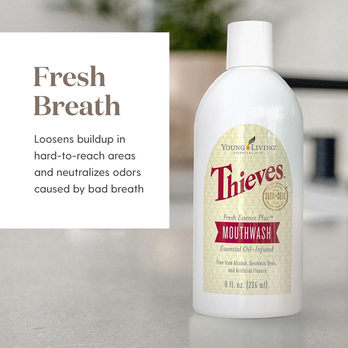 Young Living Thieves Fresh Essence Plus Mouthwash | 8 fl oz | Alcohol-Free and Fluoride-Free | Enhanced with Essential Oils | Peppermint, Rosemary, Lemon, & Cinnamon Oils