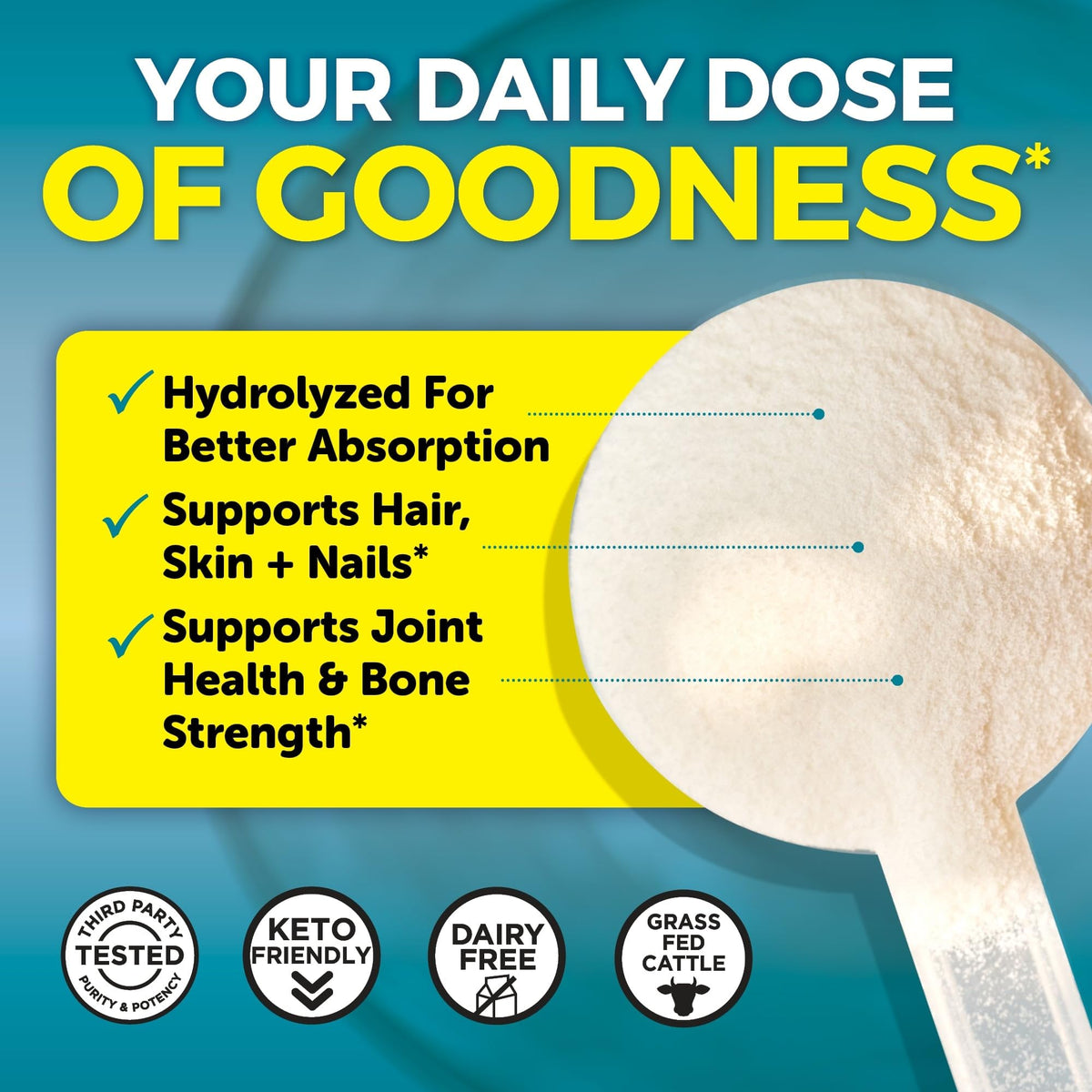 Viva Naturals Collagen Peptides Powder - Grass-Fed Hydrolyzed Bovine, Type I & III - 19 g Protein, Unflavored, Easy Dissolving - Joint, Skin, Hair & Nail Support - Paleo, Keto, Non-GMO - 1lb