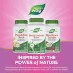 Buy now Nature's Way Black Cohosh Root, Traditional Support for Women's Health*, Non-GMO Project Verified, 180 Capsules at indiglob india