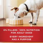 Purina ONE Chicken & Brown Rice Wet Dog Food Classic Ground (12) 13 oz Cans
