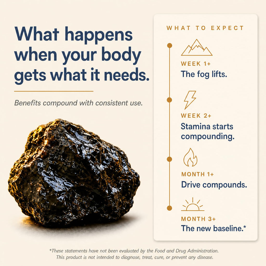 Shilajit for Men and Women - 80% Fulvic Acid 1250 mg 5-in-1 Complex 60 Caps